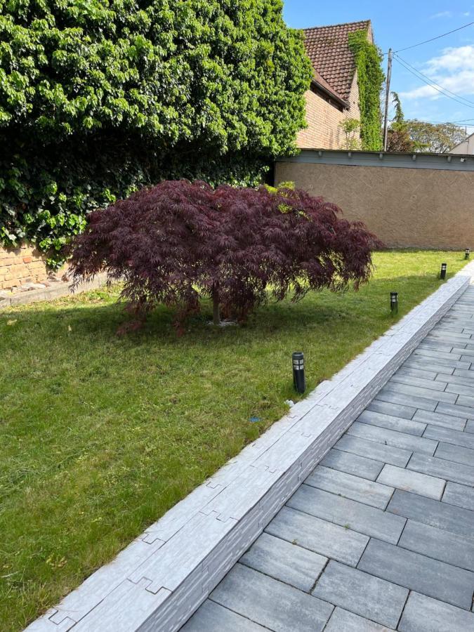Logement De Charme - W&B House Dorlisheim Esterno foto